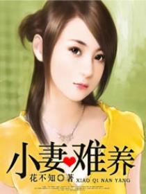 小妻难养 小妻难养