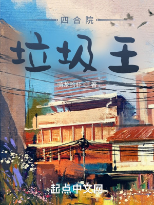 四合院:垃圾王 四合院:垃圾王