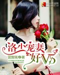 洛少宠妻好V5 洛少宠妻好V5