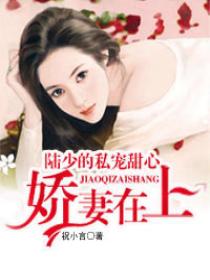 娇妻在上:陆少的私宠甜心 娇妻在上:陆少的私宠甜心