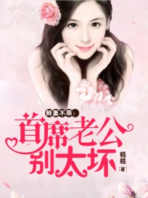 鲜妻不乖:首席老公别太坏 鲜妻不乖:首席老公别太坏