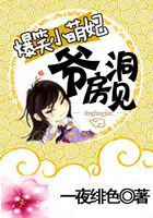 爆笑小萌妃:爷,洞房见 爆笑小萌妃:爷,洞房见