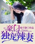 豪门独宠辣妻 豪门独宠辣妻