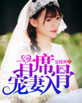 首席宠妻入骨 首席宠妻入骨