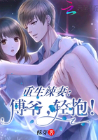 重生辣妻:傅爷,轻抱! 重生辣妻:傅爷,轻抱!
