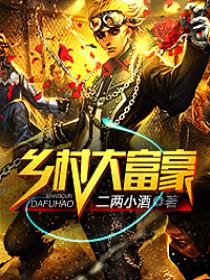 乡村大富豪 乡村大富豪