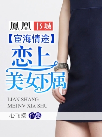 宦海情途:恋上美女下属 宦海情途:恋上美女下属