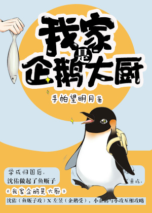 小企鹅求爱日记 小企鹅求爱日记