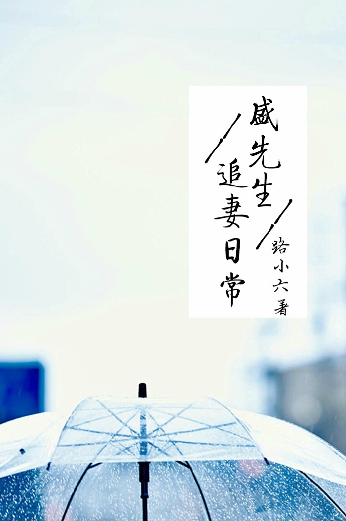 ʢ����׷���ճ�