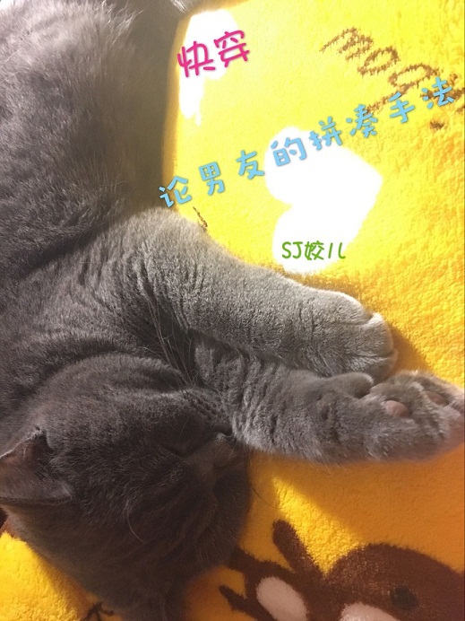 �촩-�����ѵ�ƴ���ַ�