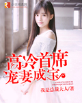 高冷首席宠妻成宝 高冷首席宠妻成宝