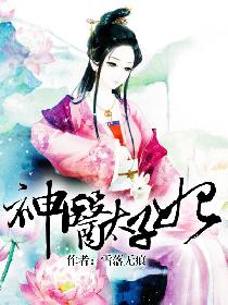 神医太子妃 神医太子妃
