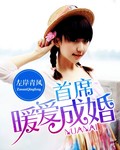 首席暖爱成婚 首席暖爱成婚
