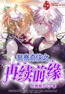 鸳鸯奇侠之再续前缘 鸳鸯奇侠之再续前缘