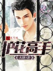 护花高手 护花高手