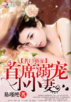 名门婚宠:首席溺宠小小妻 名门婚宠:首席溺宠小小妻
