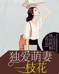 独爱萌妻一枝花 独爱萌妻一枝花