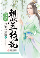我是朝堂一枝花 我是朝堂一枝花