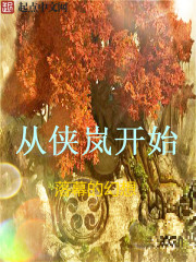 从侠岚开始 从侠岚开始