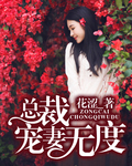 总裁宠妻无度 总裁宠妻无度