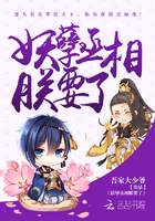 妖孽丞相朕要了 妖孽丞相朕要了