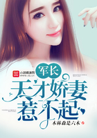 �»����۳裺��Ž��ޣ��ǲ���