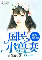 国民小兽妻:魔尊,撩不停! 国民小兽妻:魔尊,撩不停!