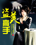 盗美高手 盗美高手