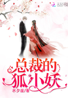 总裁的狐小妖 总裁的狐小妖