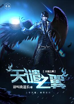 天谴之翼 天谴之翼