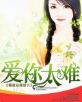 霸道总裁前夫爱你太难 霸道总裁前夫爱你太难