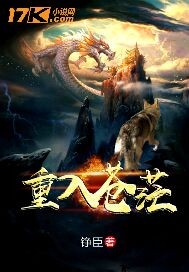 重入苍茫 重入苍茫