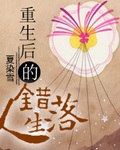 重生后的错落人生 重生后的错落人生