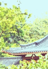 һ�������ɽ��