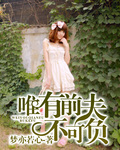 唯有前夫不可负 唯有前夫不可负