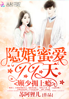 隐婚蜜爱99天:顾少拥上瘾 隐婚蜜爱99天:顾少拥上瘾