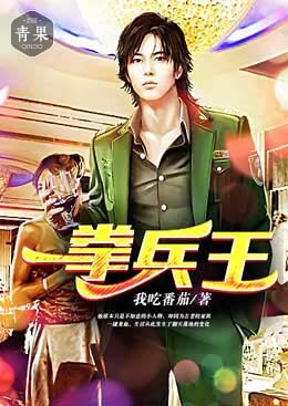 都市之一拳兵王 都市之一拳兵王