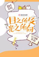 目之所及,光之所向 目之所及,光之所向