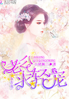 独家专宠:老公,求轻宠 独家专宠:老公,求轻宠