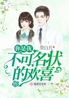 你是我不可名状的欢喜 你是我不可名状的欢喜