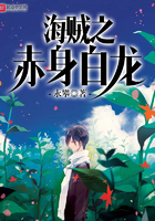 海贼之赤身白龙 海贼之赤身白龙