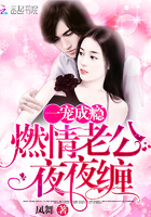 一宠成瘾:燃情老公夜夜缠 一宠成瘾:燃情老公夜夜缠