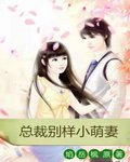 总裁的别样小萌妻 总裁的别样小萌妻