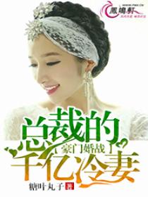 豪门婚战:总裁的千亿冷妻 豪门婚战:总裁的千亿冷妻