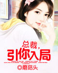 【完】总裁,引你入局 【完】总裁,引你入局