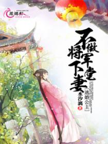 �ӻ鹫������������������