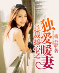 总裁掠心之独爱暖妻 总裁掠心之独爱暖妻