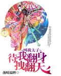 叫我太子:待我翻身拽翻天 叫我太子:待我翻身拽翻天