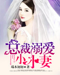 总裁溺爱小小妻 总裁溺爱小小妻