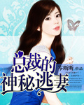 总裁的神秘逃妻 总裁的神秘逃妻